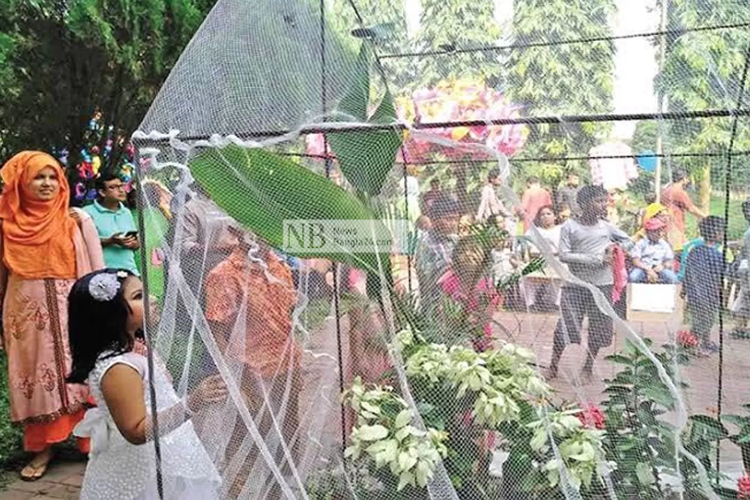 জাহাঙ্গীরনগর বিশ্ববিদ্যালয়ে প্রজাপতি মেলা ১০ ডিসেম্বর