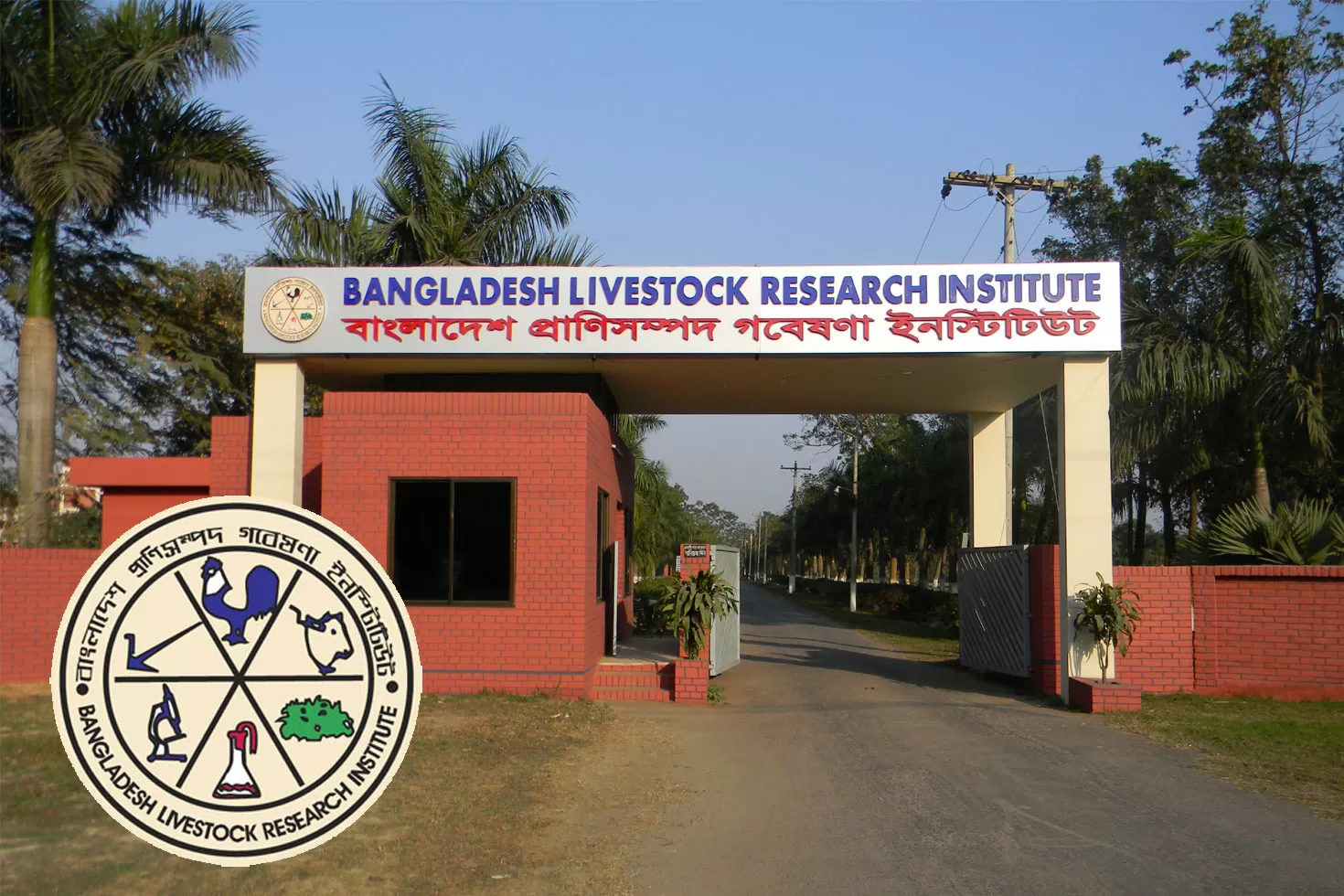 প্রাণিসম্পদ-গবেষণা-ইনস্টিটিউটে-১৯-চাকরি