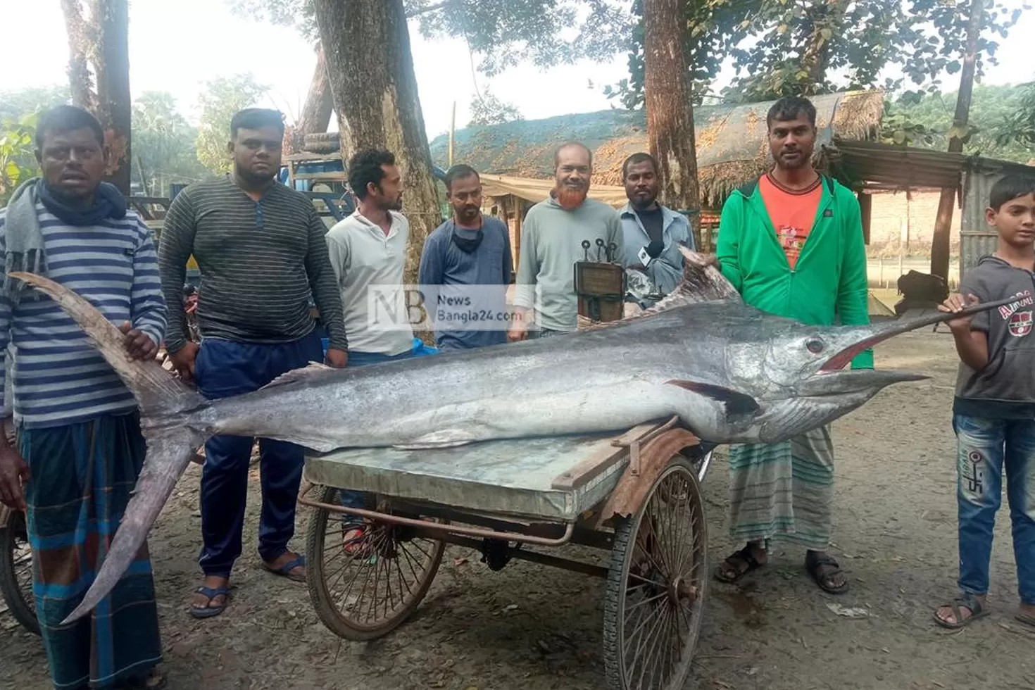 জেলের-জালে-দেড়-শ-কেজির-গোলপাতা