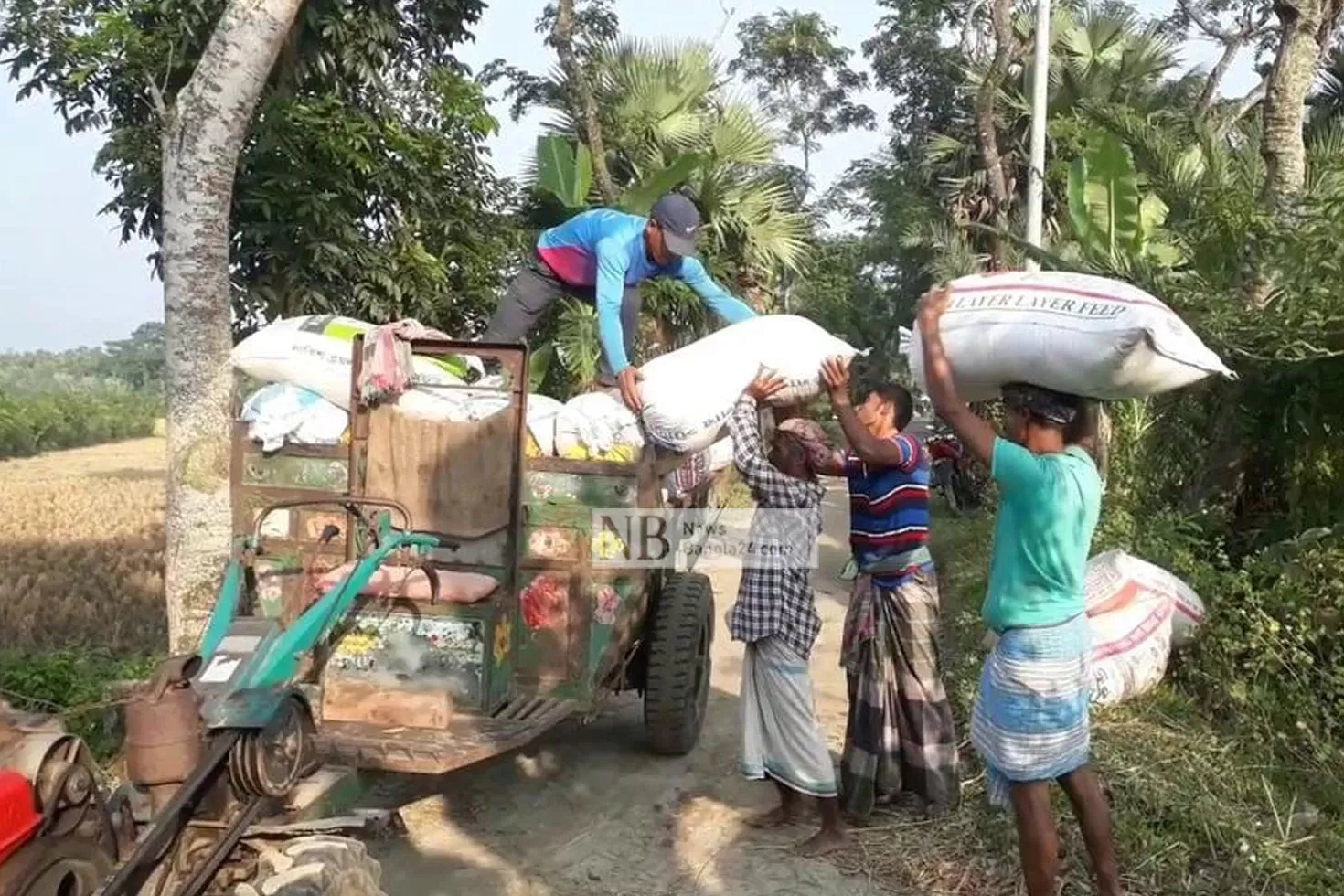 লক্ষ্মীপুরে শুরুই হচ্ছে না ধান সংগ্রহ অভিযান