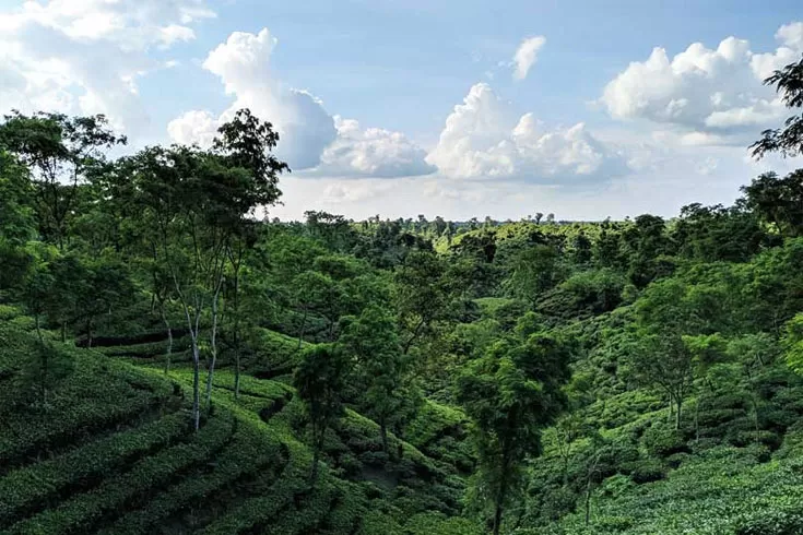 দুর্নীতিতে ডুবতে বসেছে ন্যাশনাল টি