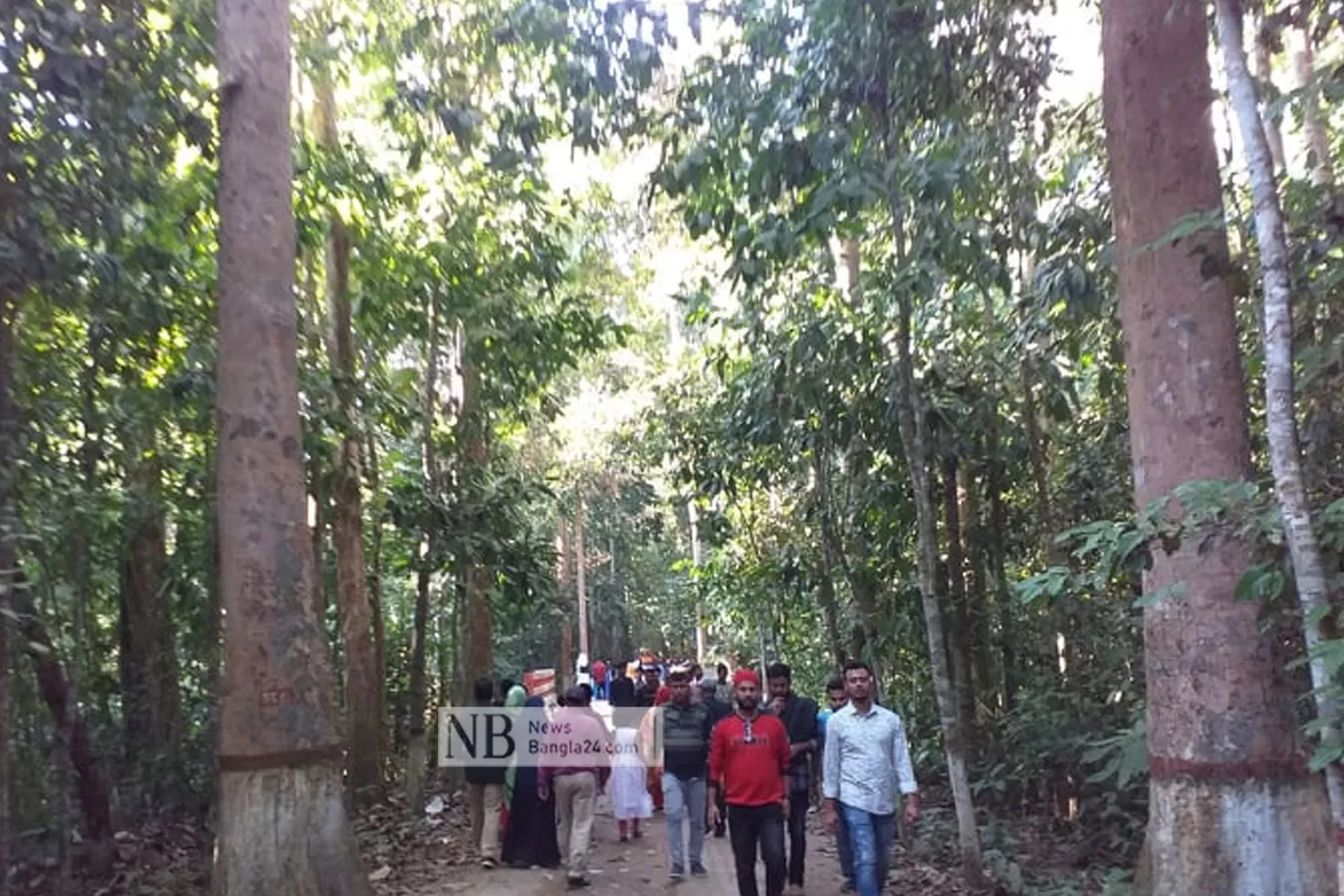 লাউয়াছড়ায়-গণহারে-পর্যটক-প্রবেশ-বন্ধ-হচ্ছে