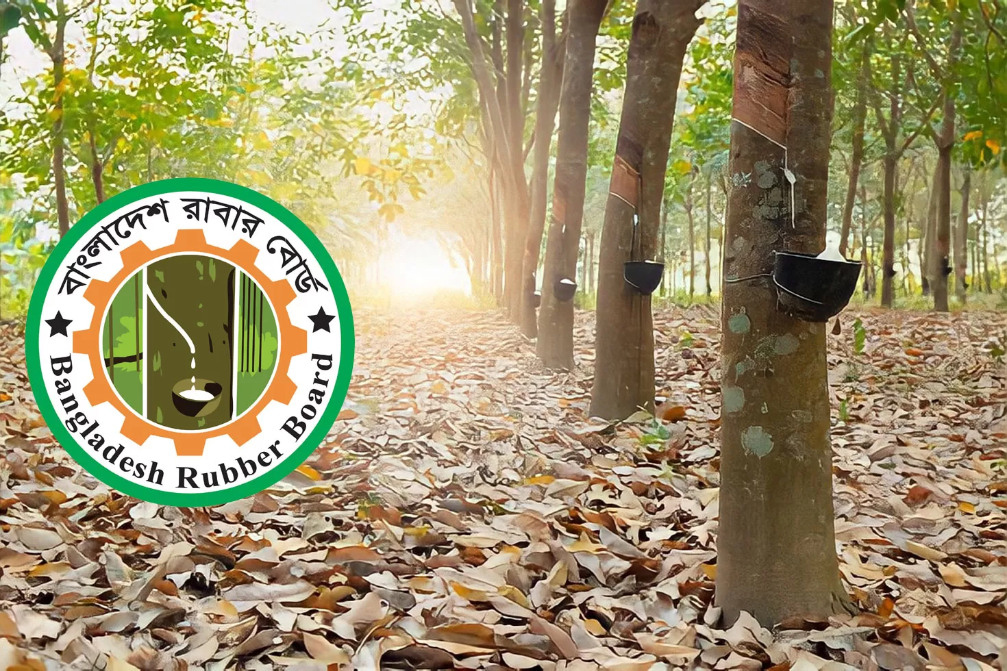 রাবার-বোর্ডে-৩৭-নিয়োগ-আবেদন-ফরম-পূরণ-শুরু