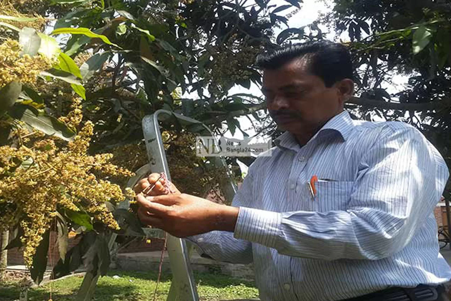 অবসরে হাইব্রিড আমের জনকখ্যাত ড. জমির উদ্দিন