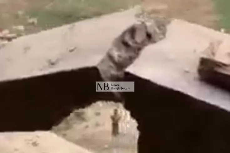 স্কুল ভবন নির্মাণে অনিয়ম