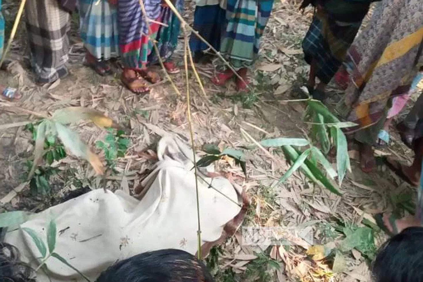 মাদ্রাসাছাত্রীর-পোড়া-মরদেহ-উদ্ধার