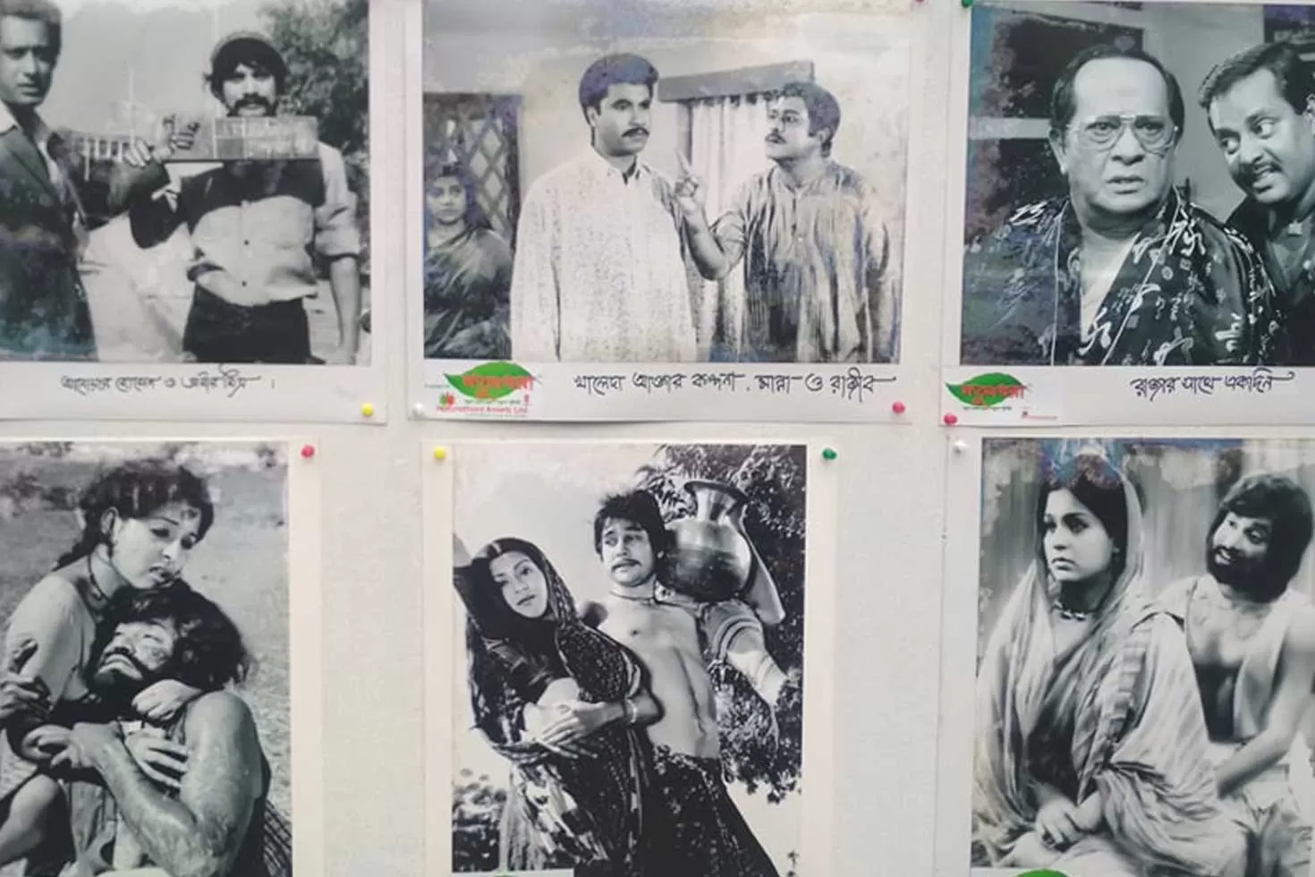 চলচ্চিত্র-পরিচালক-সমিতির-৪০-বছর-পূর্তি-উদযাপন