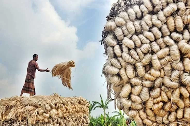 রপ্তানির রমরমায় ব্যতিক্রম শুধু পাট