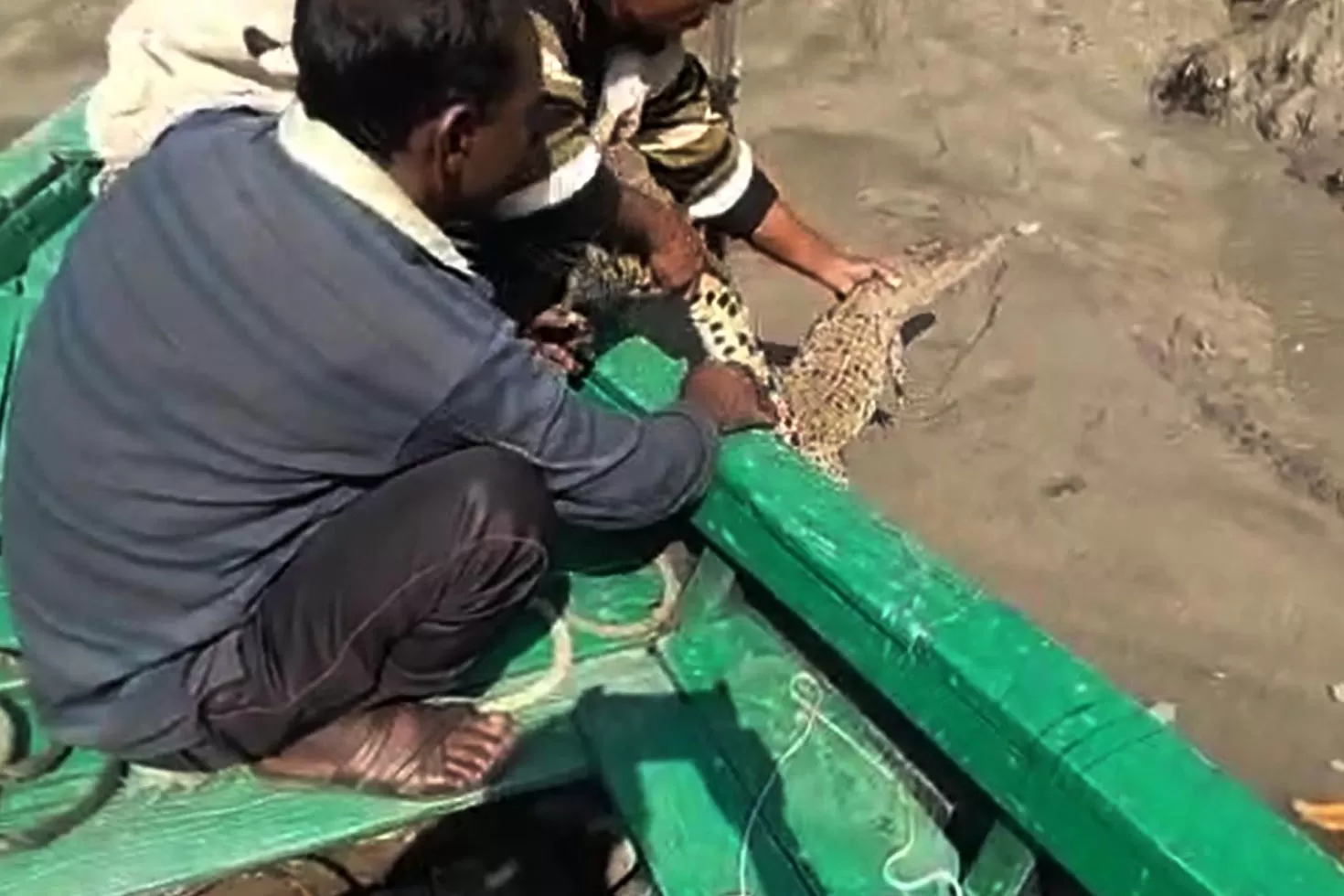 ৯৯৯-নম্বরে-কল-পেয়ে-সুন্দরবনের-কুমির-উদ্ধার