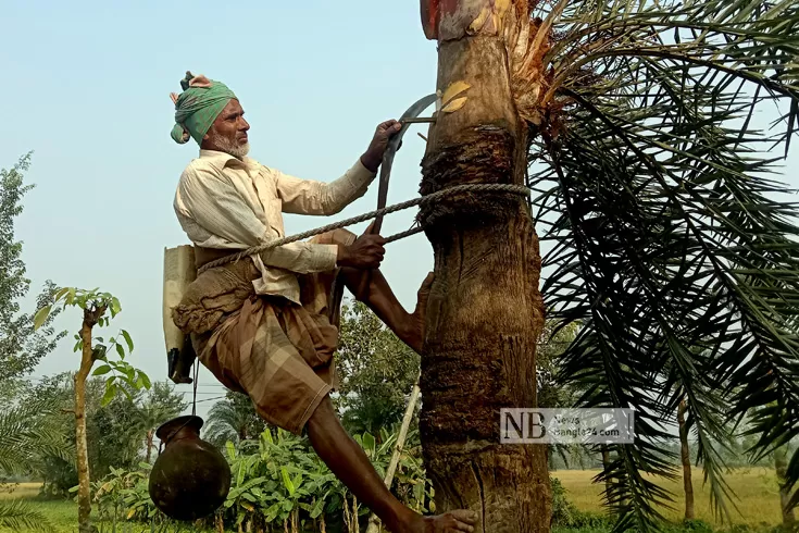 খেজুর রস