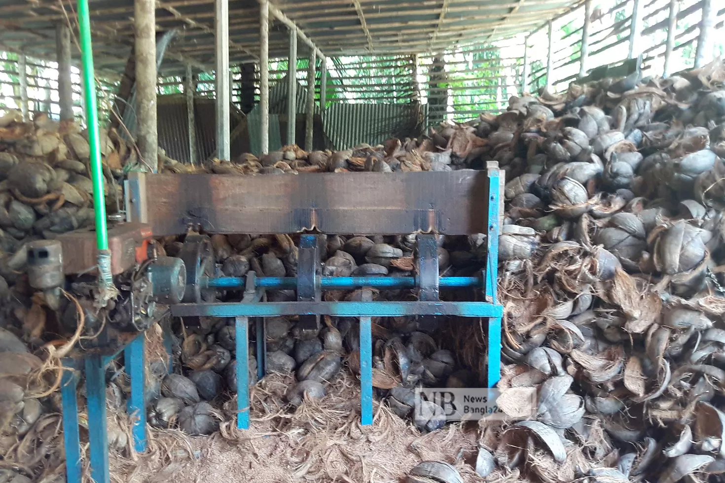 নারকেলের ছোবড়ায় অর্ধশত কোটির ব্যবসা