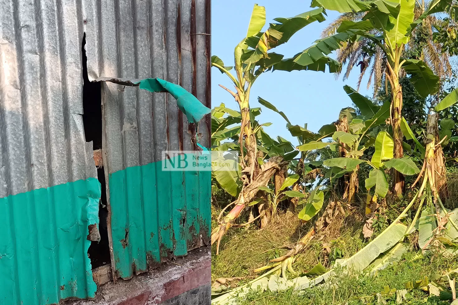 নৌকার চেয়ারম্যানের বিরুদ্ধে আ.লীগ নেতার যত অভিযোগ