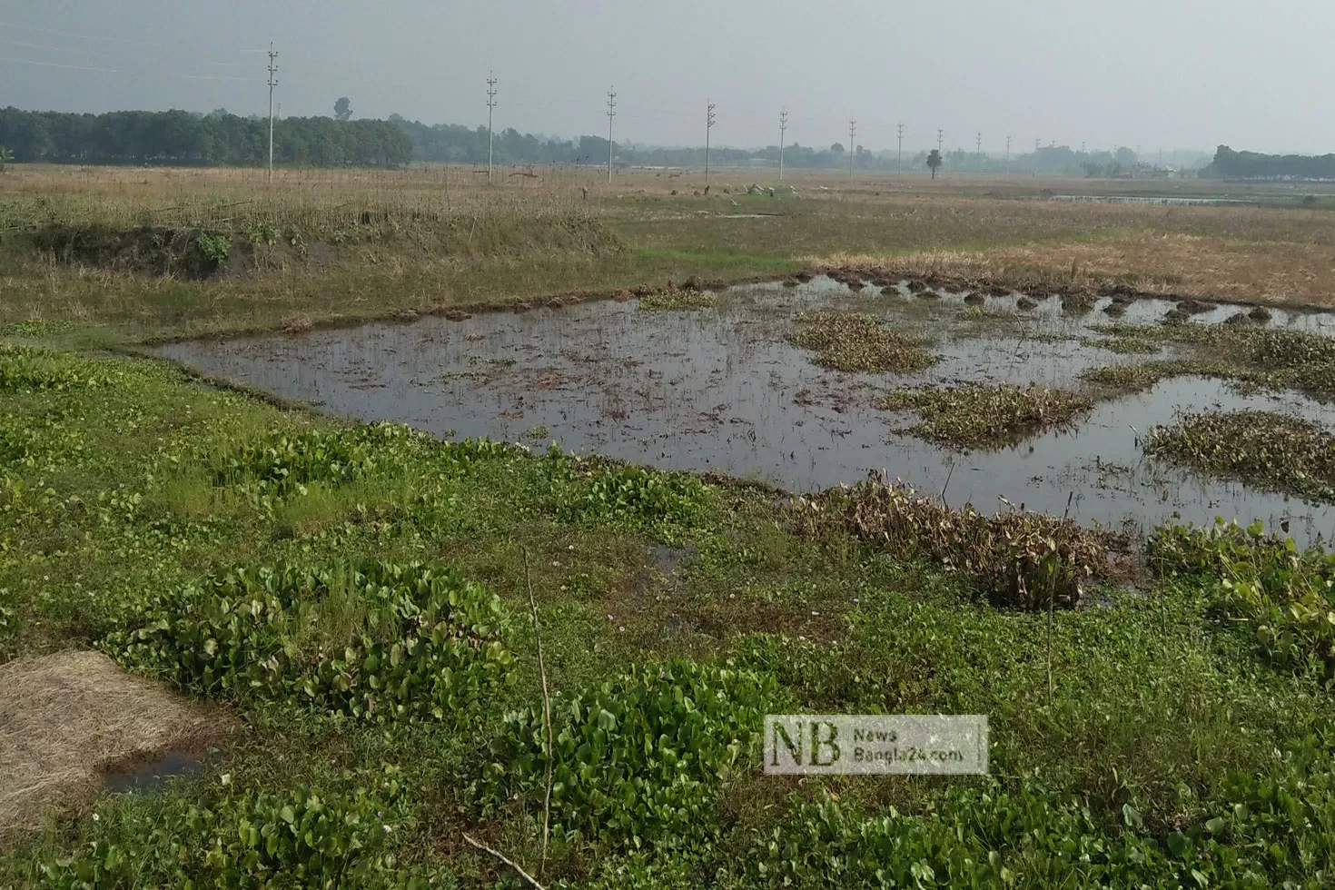 নড়াইলে-এত-দিনেও-গড়ে-ওঠেনি-শিল্পনগরী