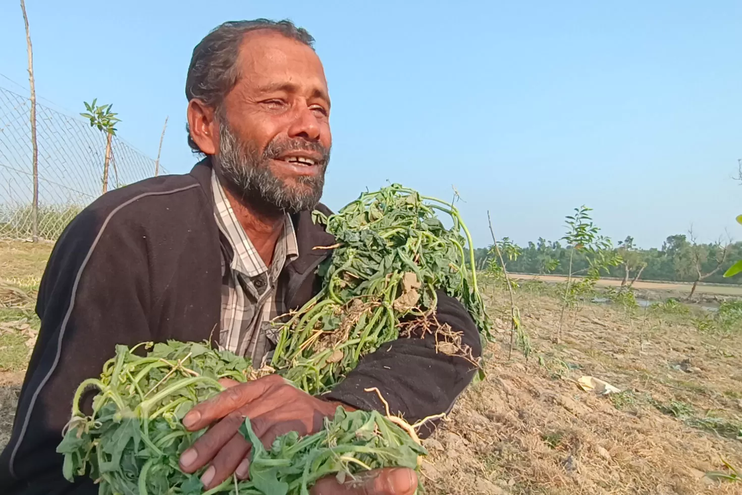 ১০ হাজার তরমুজ গাছ কাটলেন পাউবো কর্মকর্তা