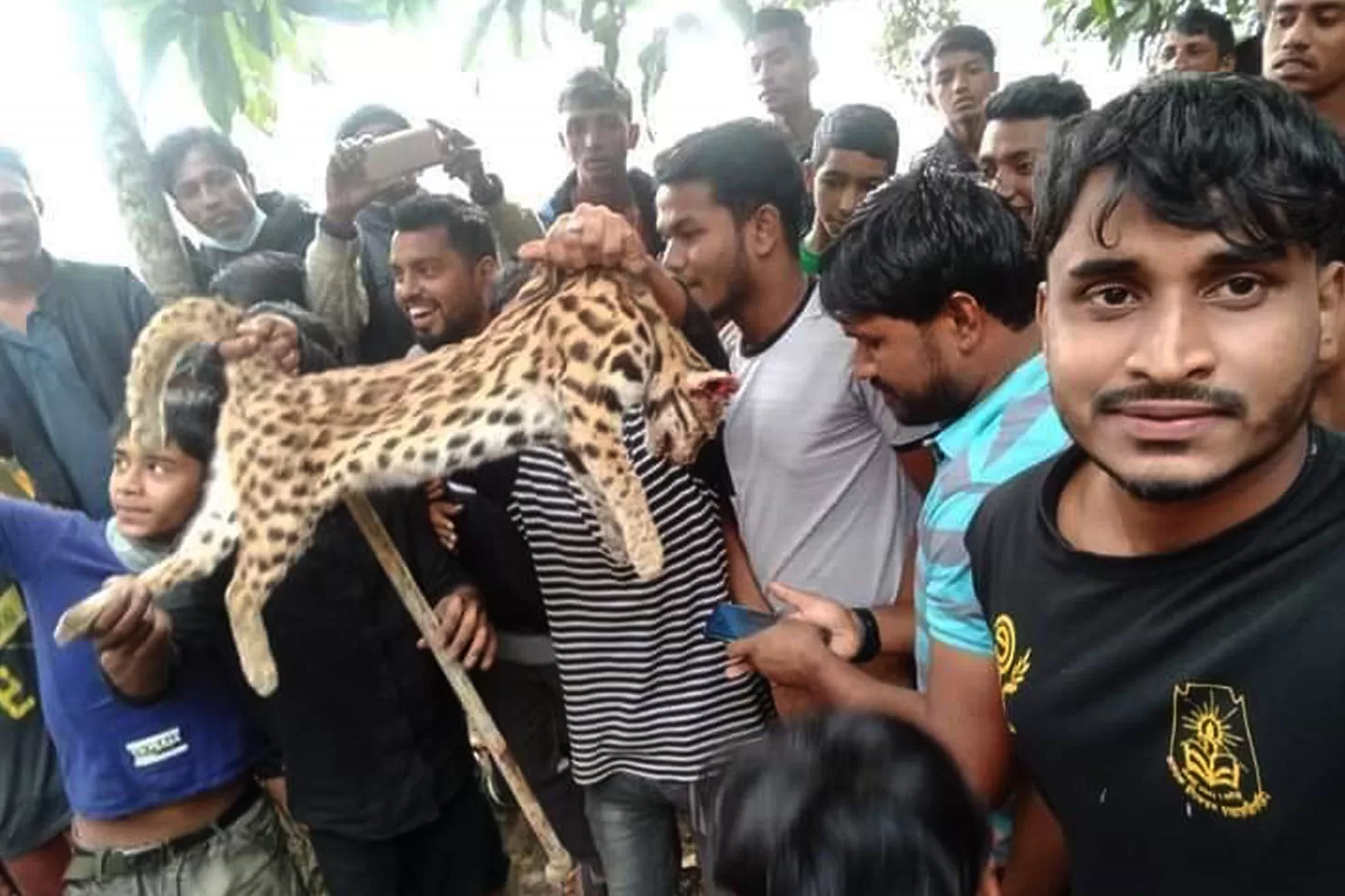 বিরল চিতা বিড়ালকে পিটিয়ে মেরে উল্লাস