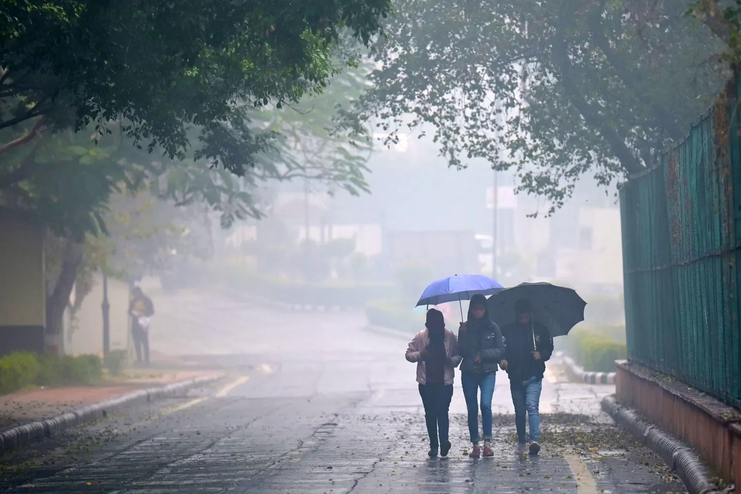 দিল্লিতে-৩২-বছর-পর-জানুয়ারিতে-সর্বোচ্চ-বৃষ্টি