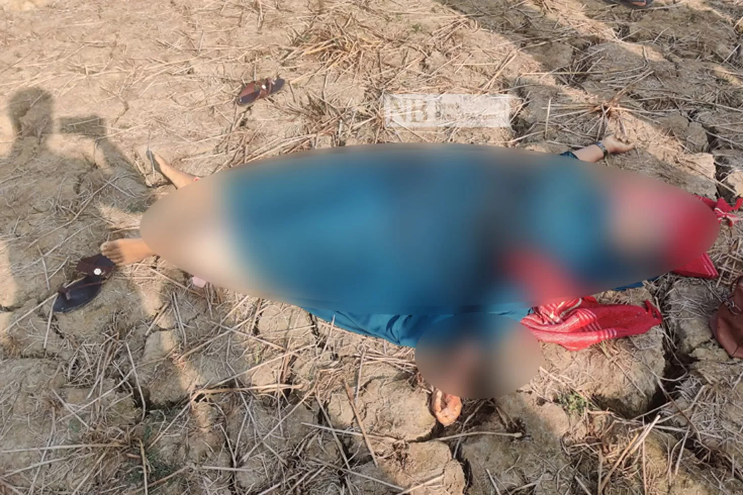 গৃহবধূর হাত-পায়ের রগ কাটা মরদেহ মিলল বিলে