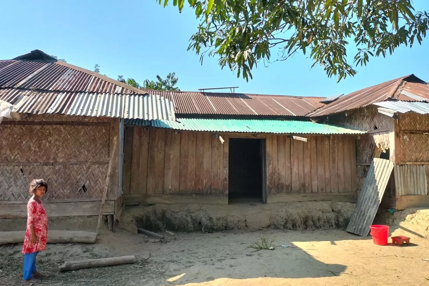 গ্রামপ্রধানকে-হত্যার-নেপথ্যে-গাছ-ও-গরু-চুরি