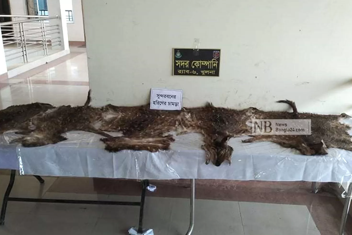 ৫টি হরিণের চামড়াসহ গ্রেপ্তার যুবক