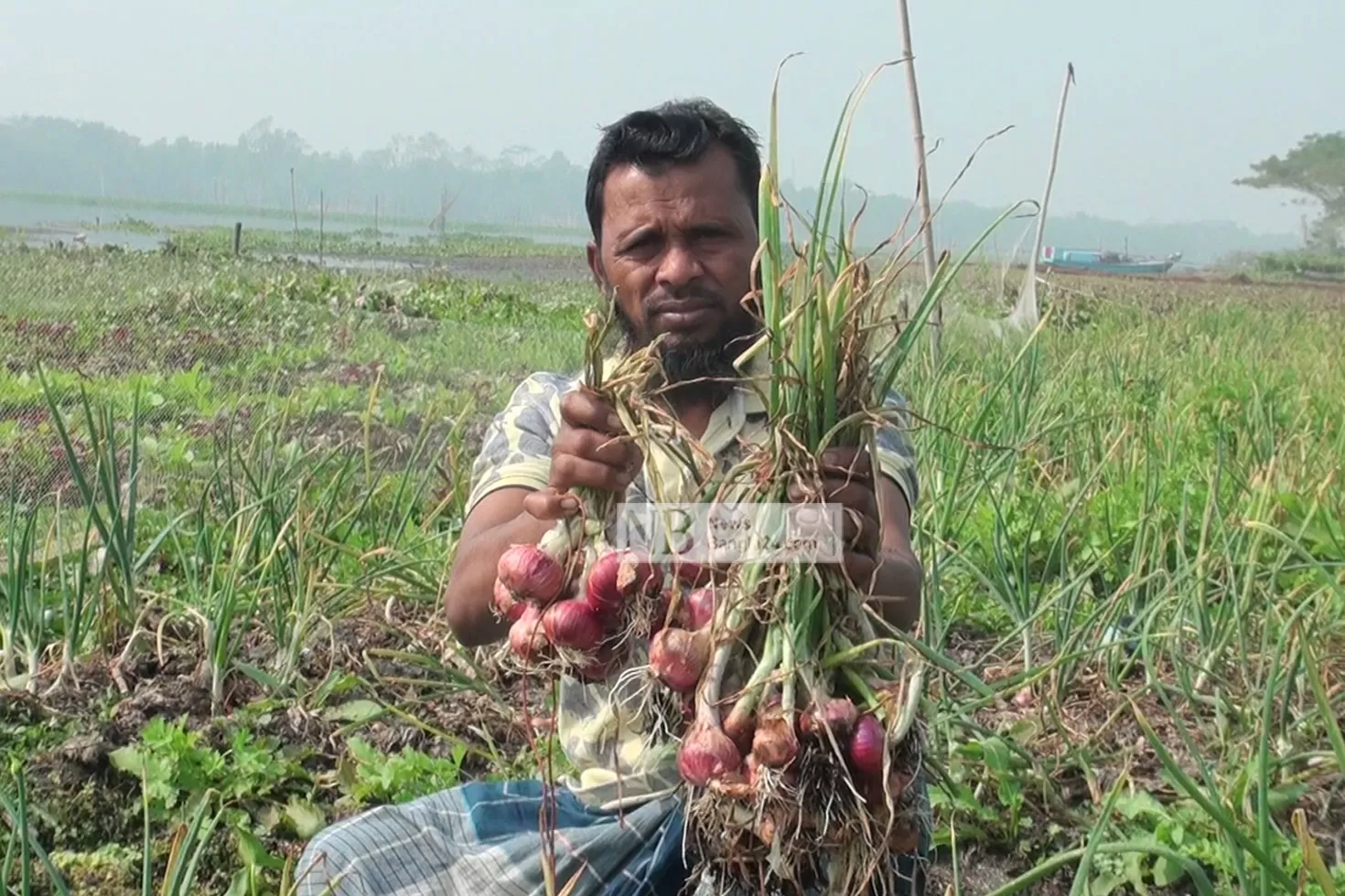 ভাসমান-বেডে-পেঁয়াজ-চাষে-আস্থা-বাড়ছে