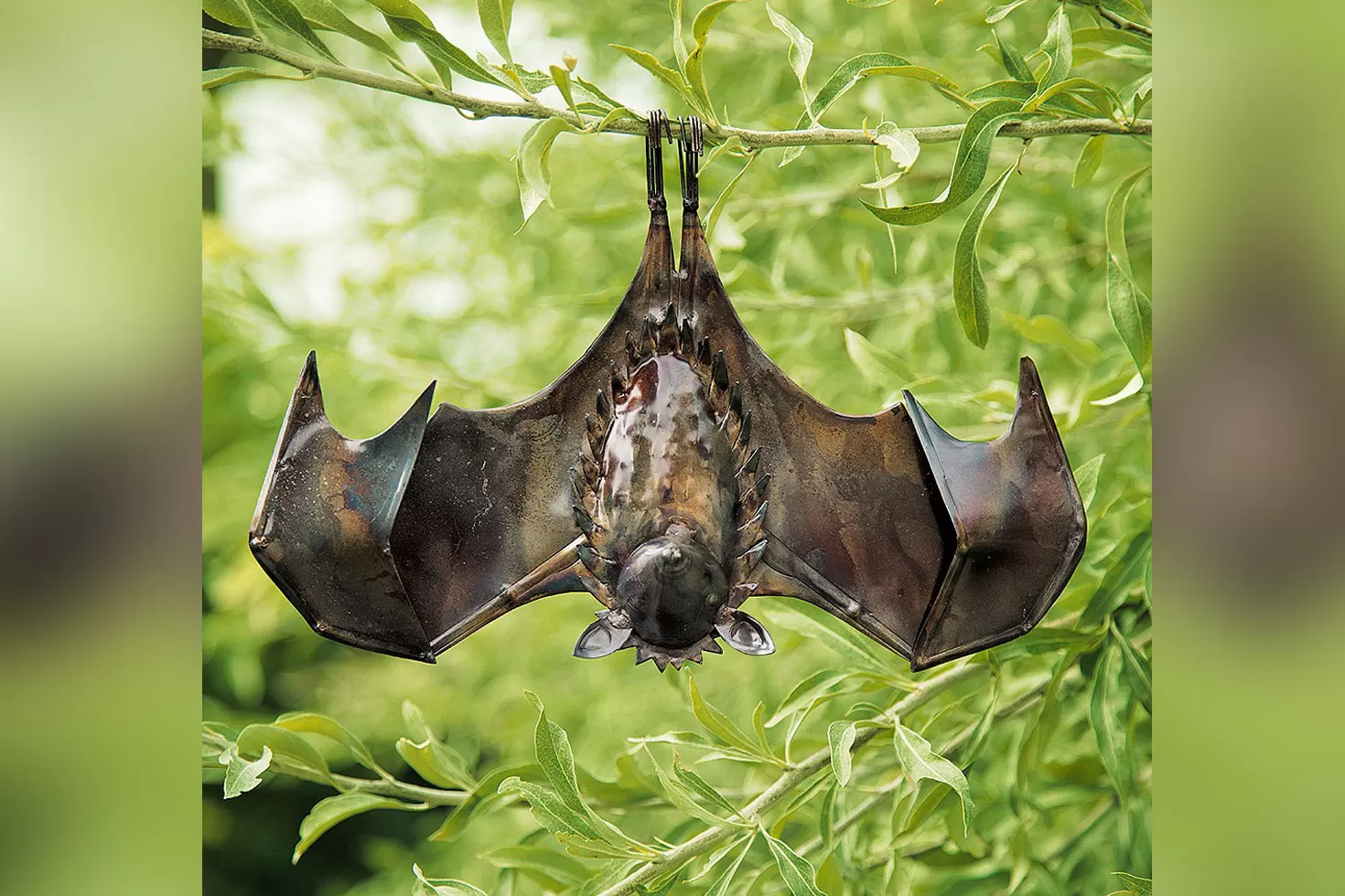 বাদুড় থেকে আসছে আরেক করোনা