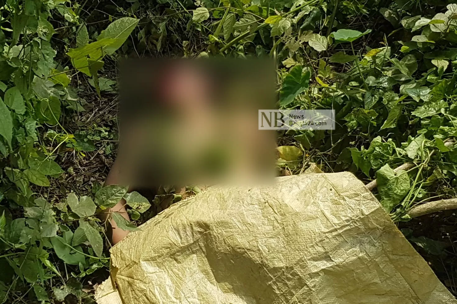 ঝোপে যুবকের মুখ থ্যাঁতলানো মরদেহ