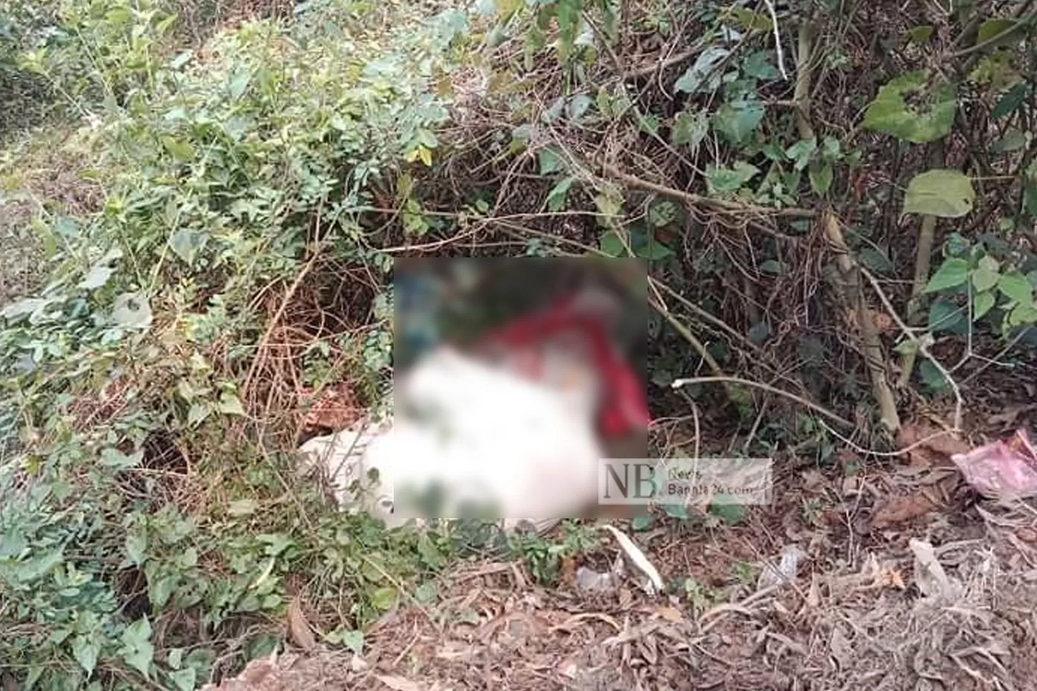 ঝোপে অজ্ঞাতপরিচয় দুই যুবকের বস্তাবন্দি মরদেহ