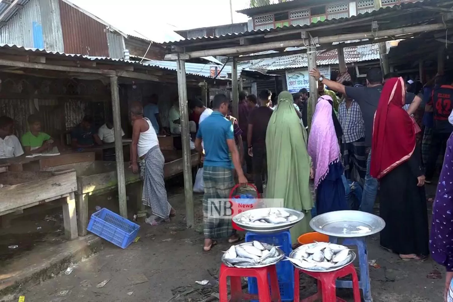 নিষেধাজ্ঞার মধ্যে মেঘনায় অবাধে জাটকা নিধন