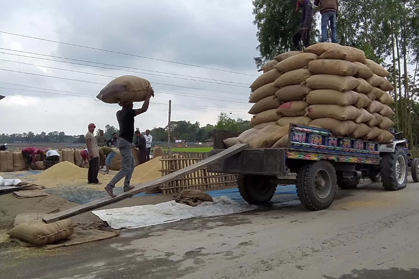 এবার রেকর্ড দামে দিনাজপুরের কাটারিভোগ