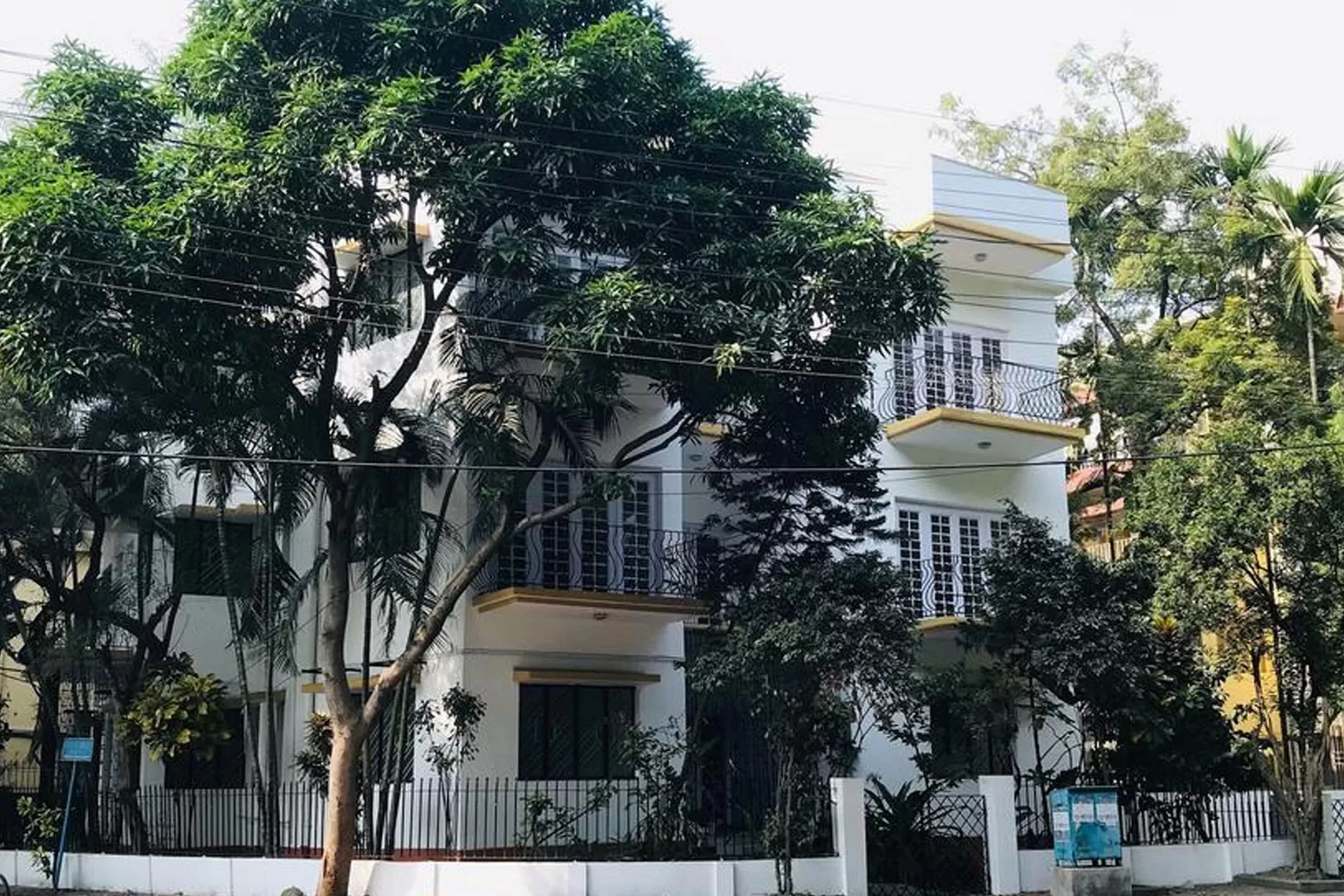 বাড়ির-গাছ-কাটতেও-লাগবে-সরকারের-অনুমতি