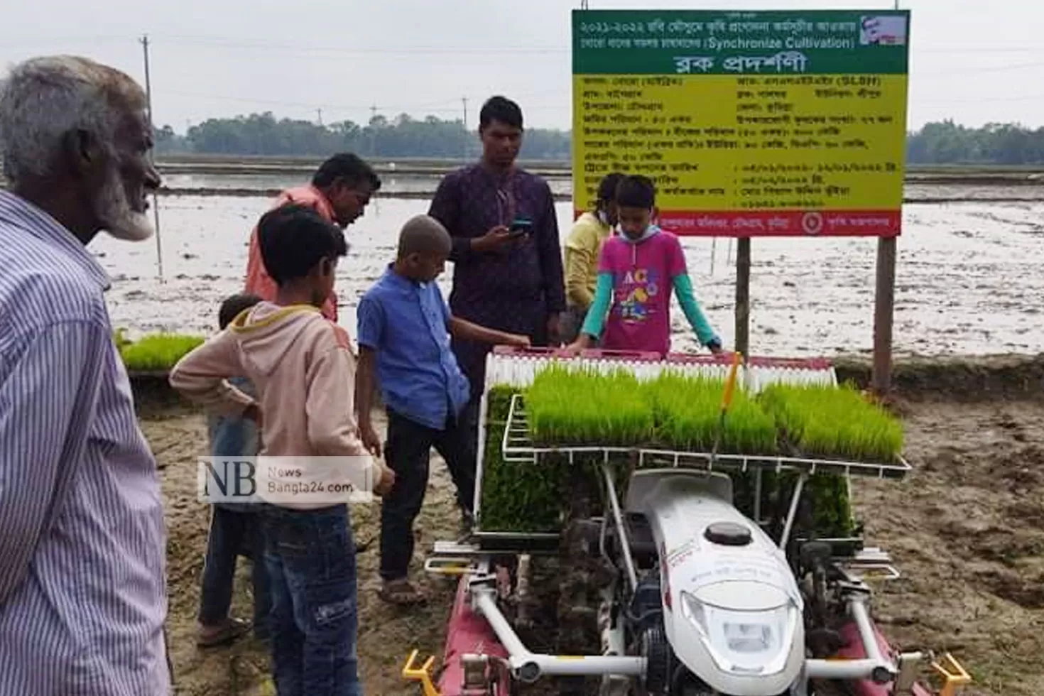 আশা-জাগাচ্ছে-সমালয়-পদ্ধতিতে-ধান-চাষ-কমবে-ব্যয়