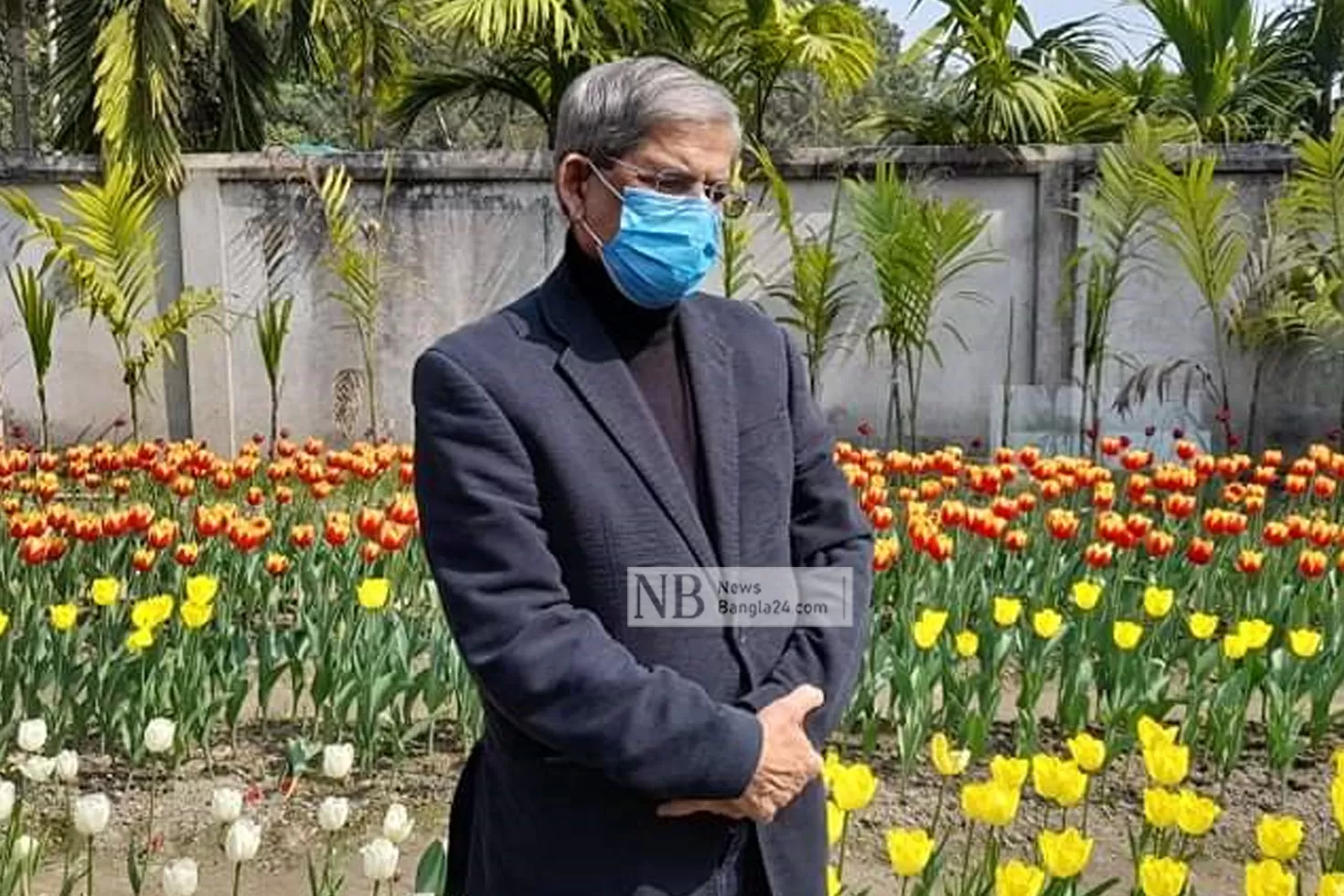 তেঁতুলিয়ায় টিউলিপে অভিভূত ফখরুল