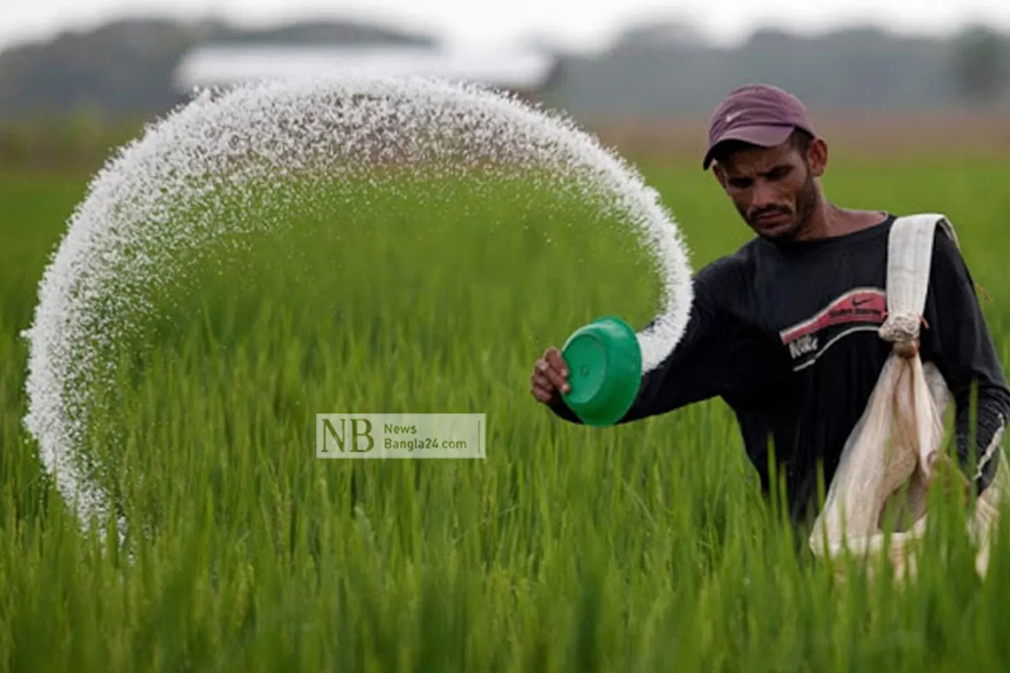 সারের দাম বাড়ানোর চিন্তা নেই: কৃষিমন্ত্রী