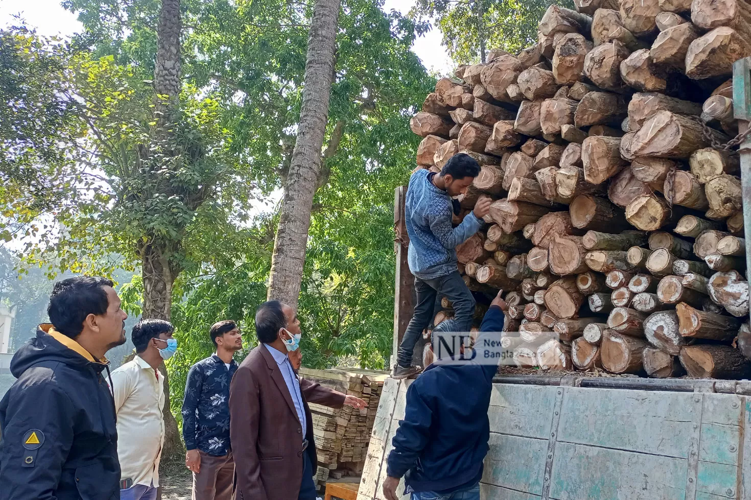 পাচারকালে জব্দ বিপুল গজারি কাঠ