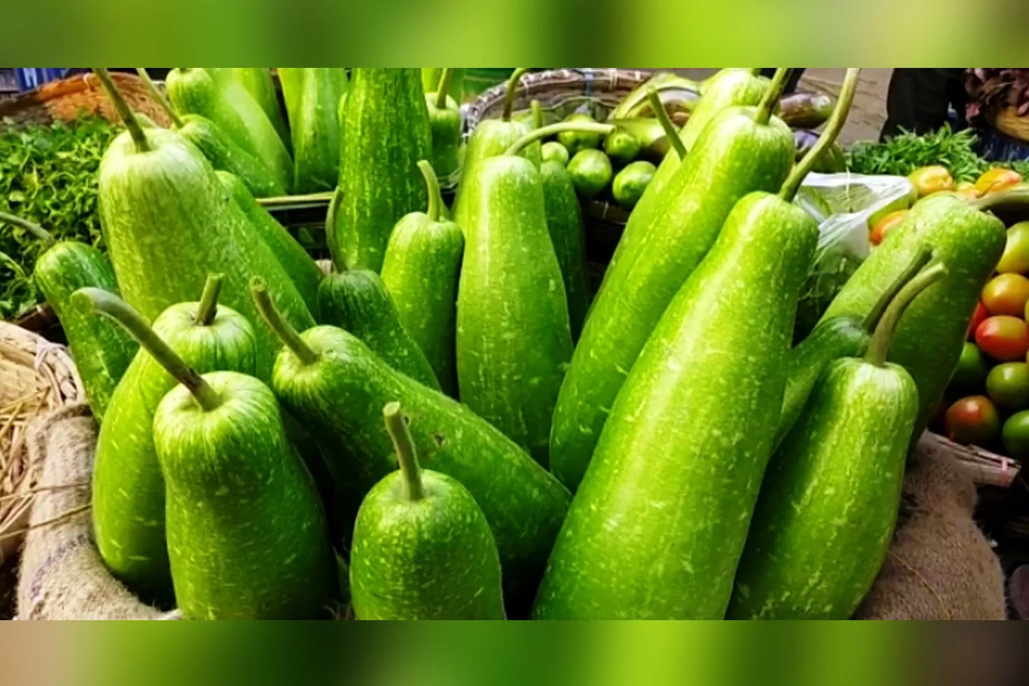 ঘন-কুয়াশার-প্রভাব-মাদারীপুর-সবজির-বাজারে