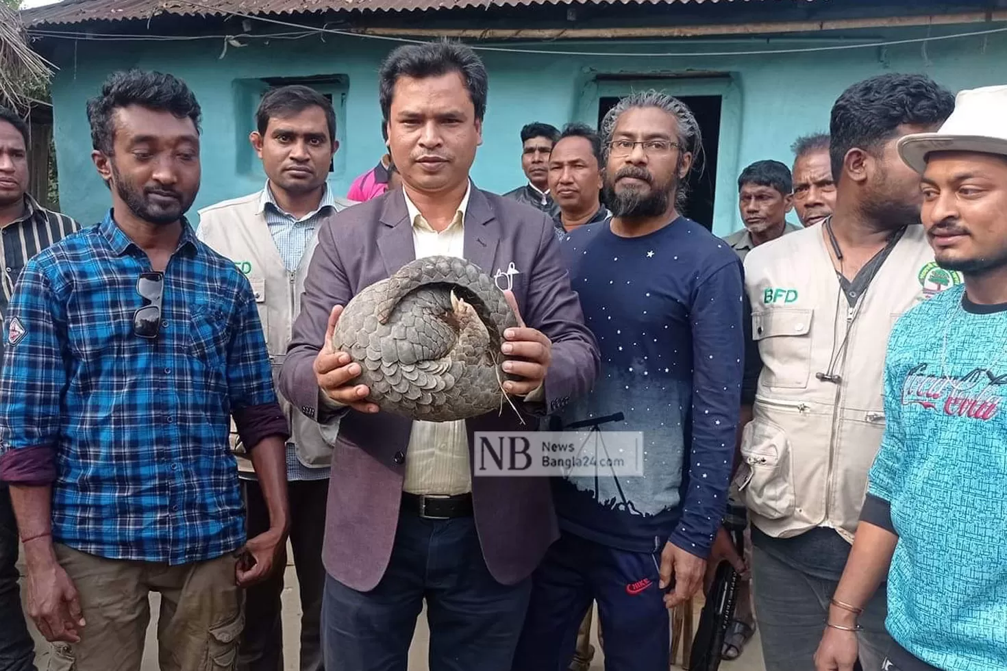 চা-বাগানে-মিলল-মহাবিপন্ন-বনরুই