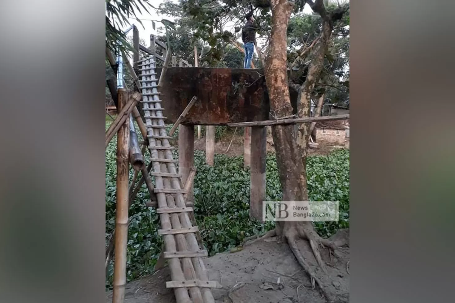 মই-বেয়ে-উঠতে-হয়-যে-সেতুতে