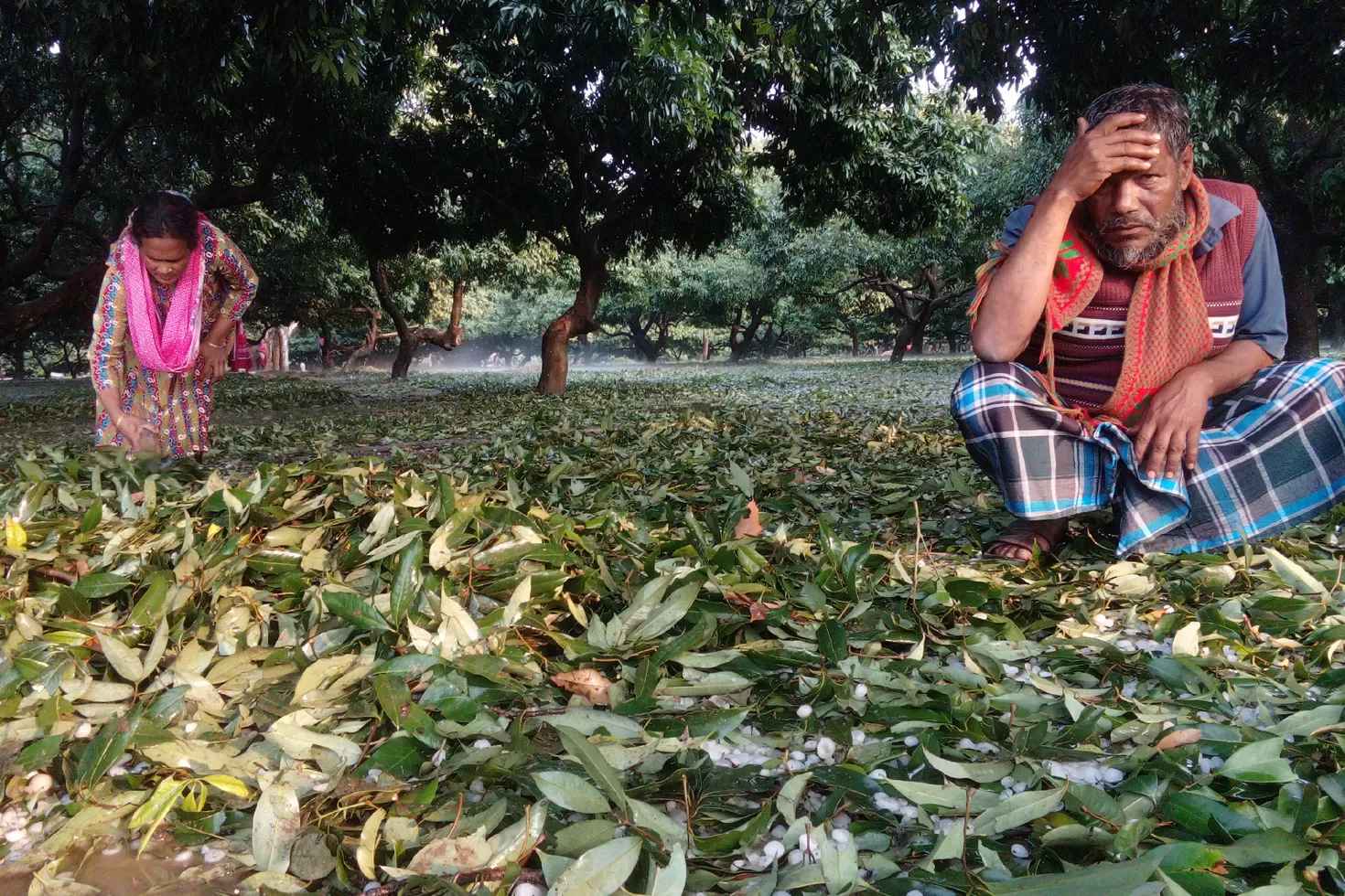 এ-কেমন-শিলাবৃষ্টি 