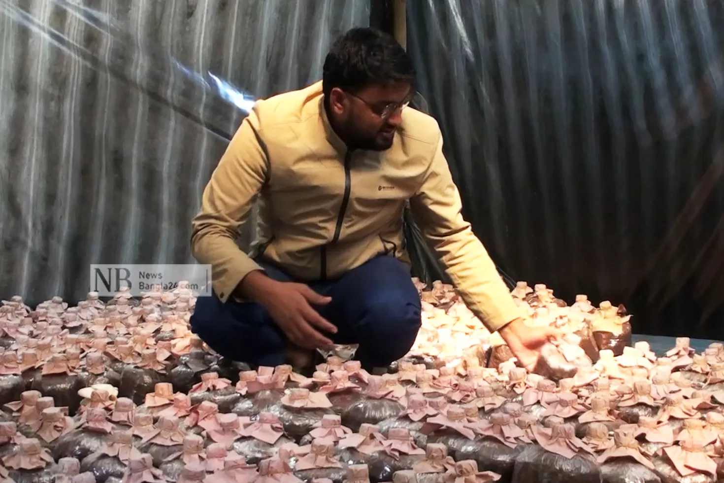 মাশরুম-চাষি-থেকে-রেস্তোরাঁ-মালিক
