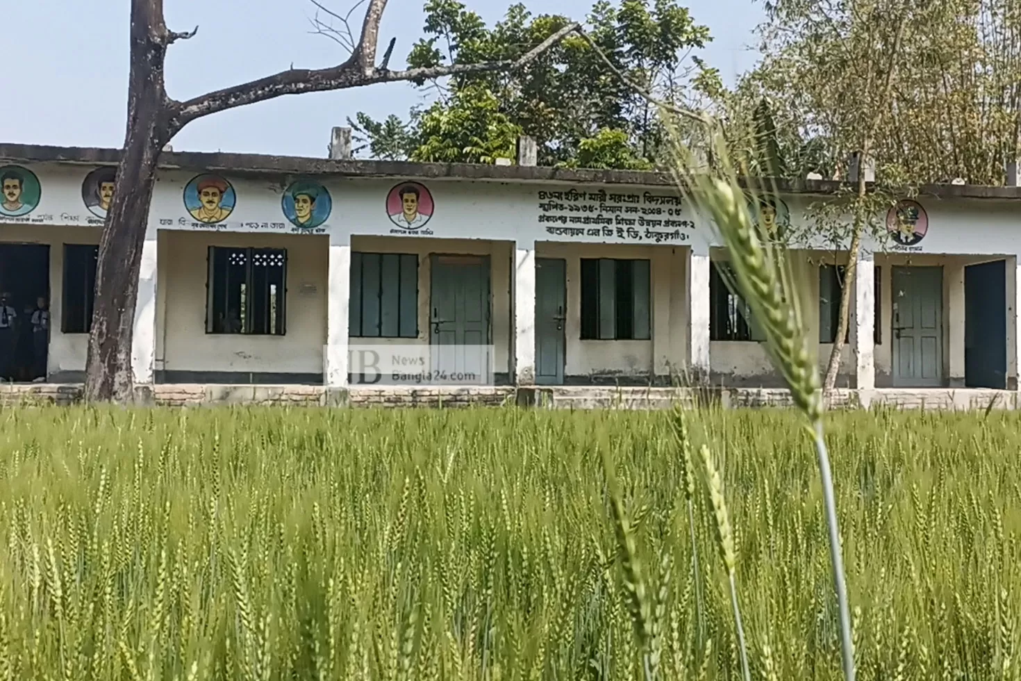 স্কুলমাঠে-গম-চাষ-বারান্দায়-বন্দি-শিক্ষার্থীরা