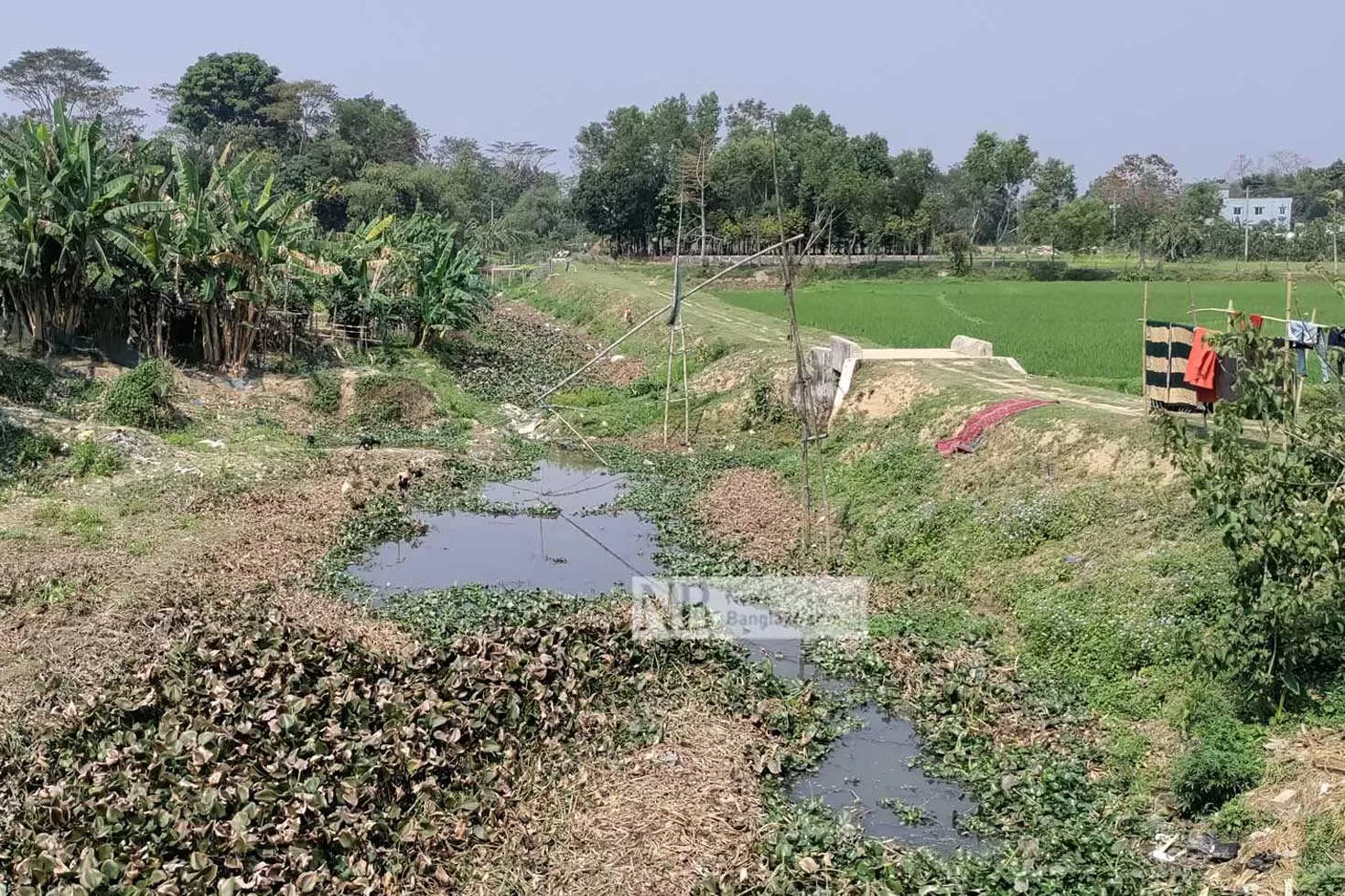 লোলা গাঙকে ‘পঙ্গু করছে’ পৌরসভা