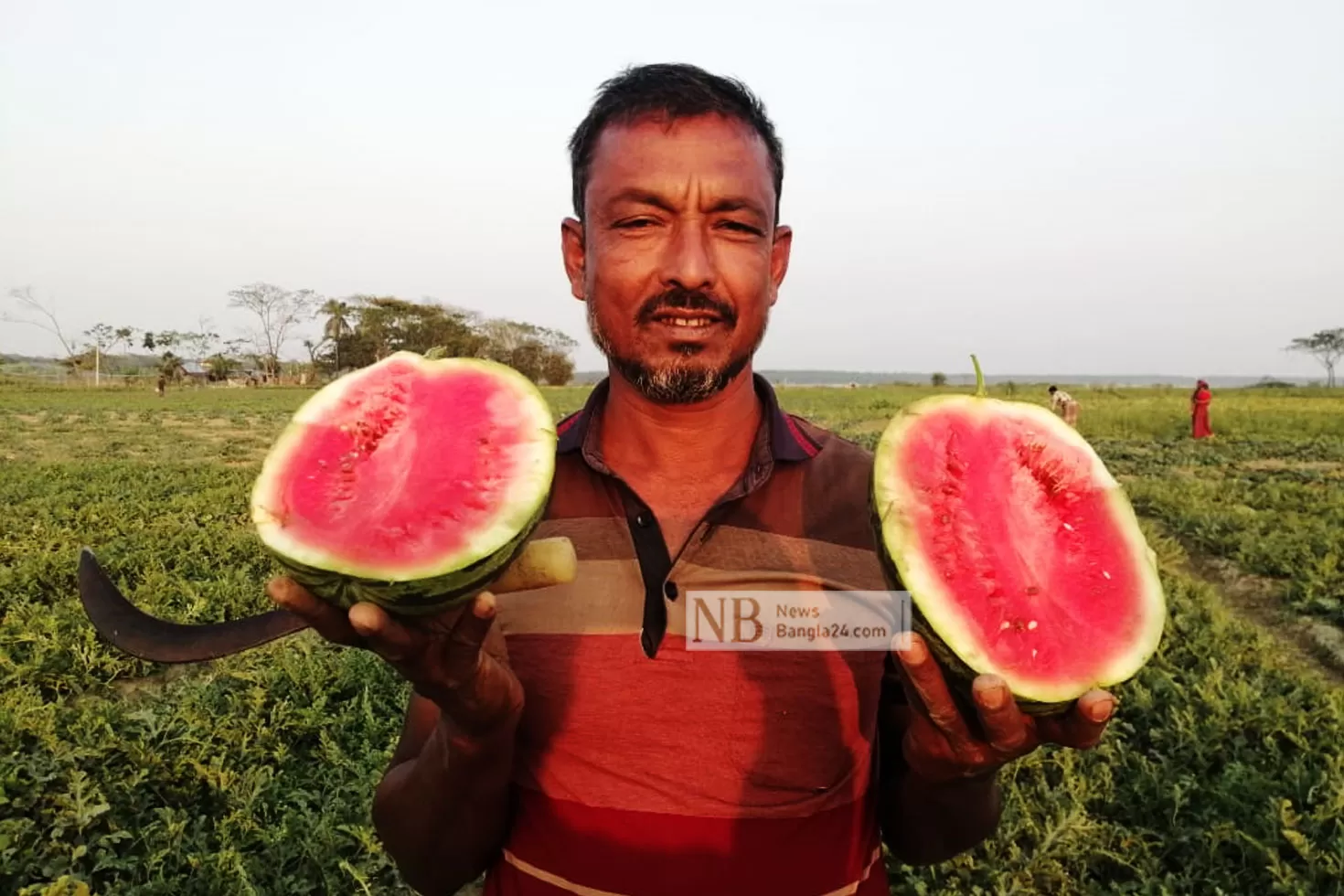 আগাম তরমুজে চরের কৃষকদের মুখে হাসি