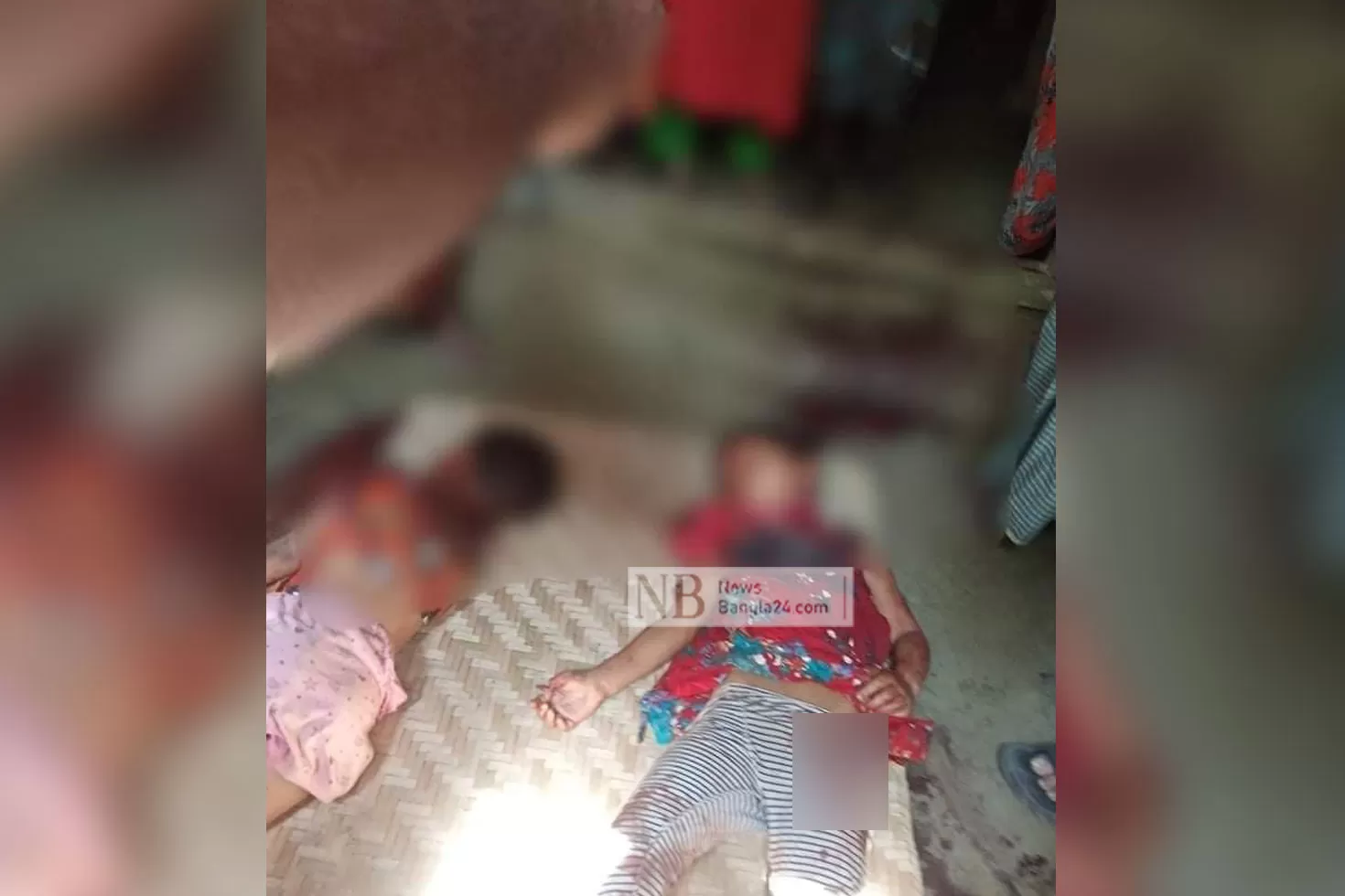 ঈশ্বরগঞ্জে দুই শিশুকে গলা কেটে হত্যা