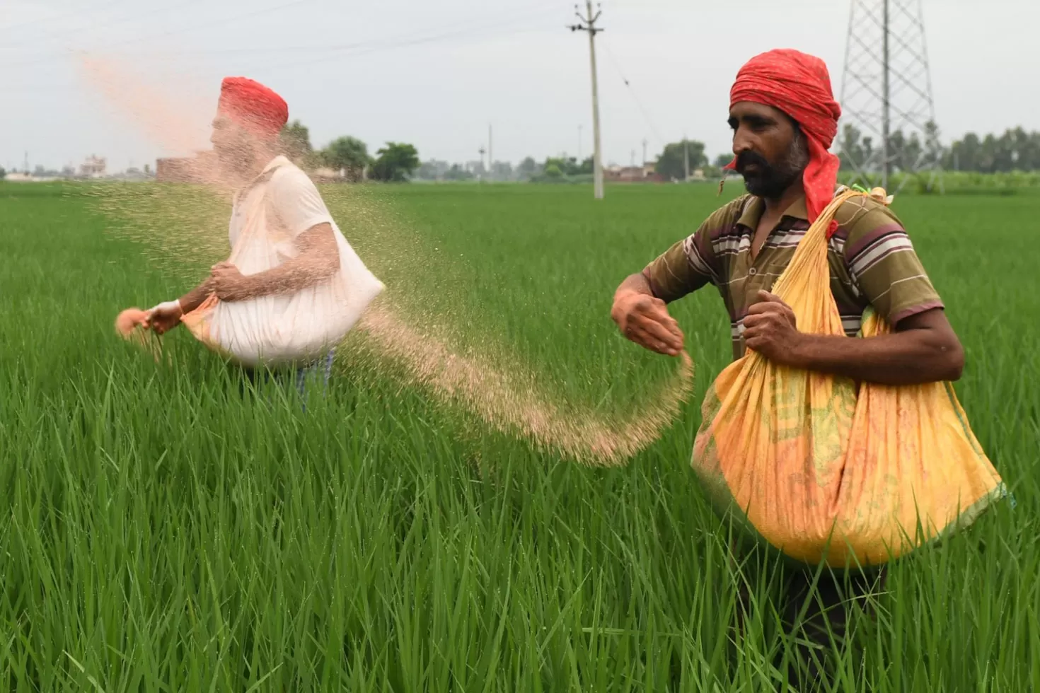 ইউক্রেনের যুদ্ধ বিশ্বে ‘খাদ্য বিপর্যয় ডেকে আনবে’