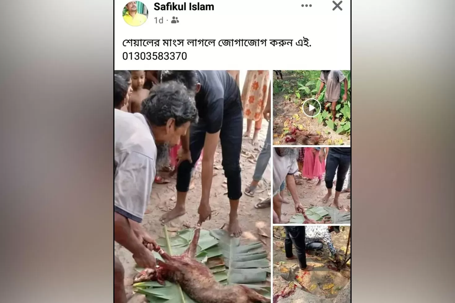ফেসবুকে ঘোষণা দিয়ে শিয়ালের মাংস বিক্রি, মামলা 