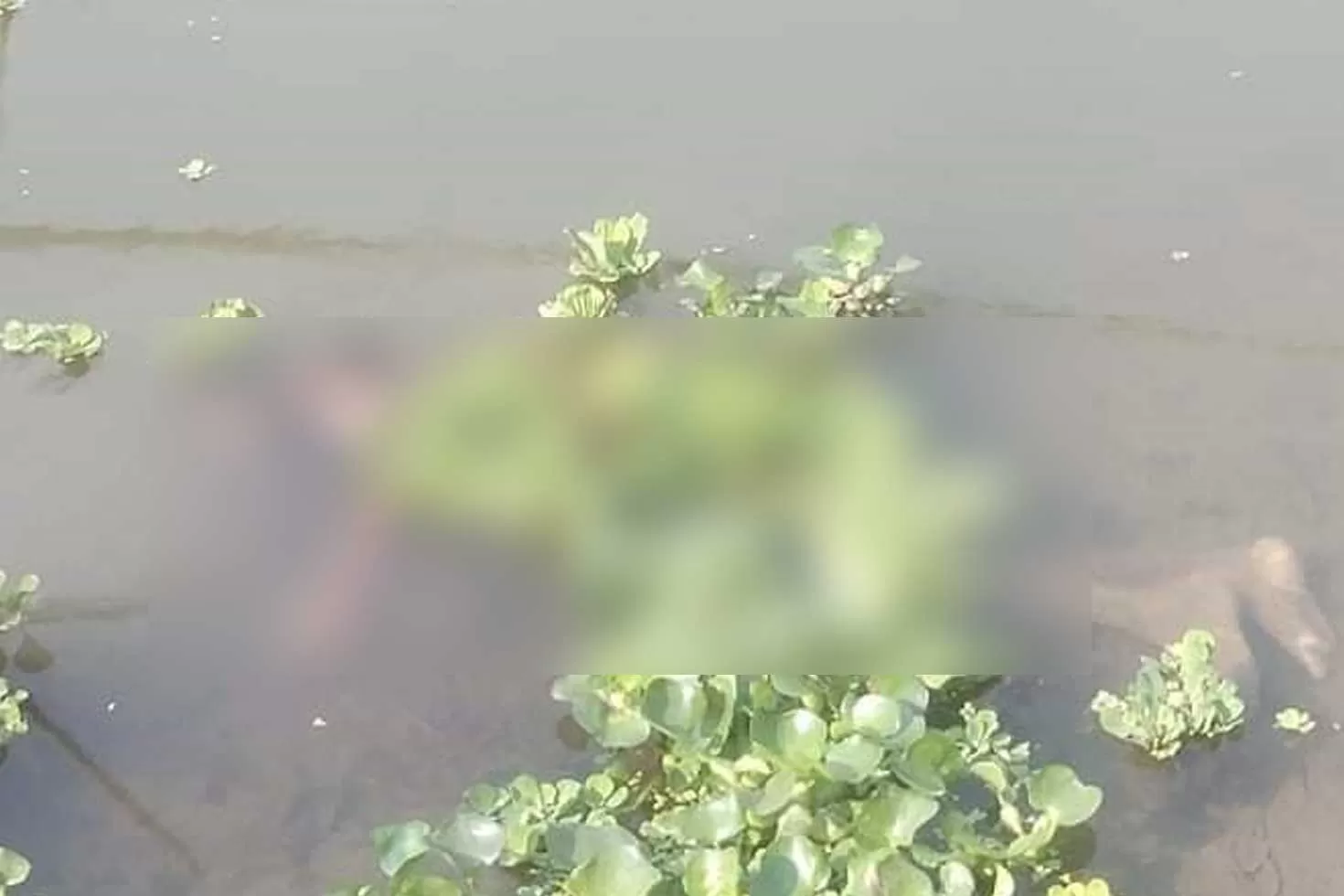 খাল-থেকে-মরদেহ-উদ্ধার