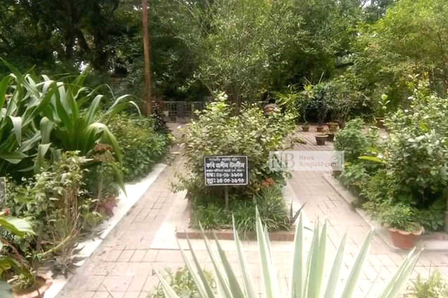 পল্লীকবির প্রয়াণের ৪৬