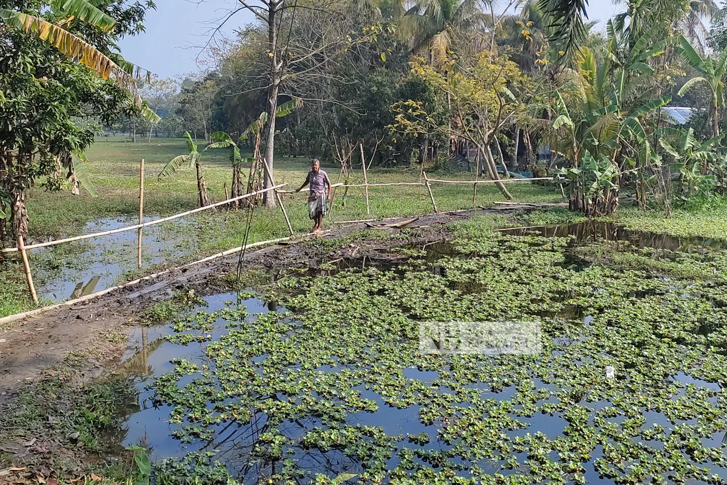 কালভার্টের মুখ বন্ধ করে পুকুর, পানিবন্দি ২৫ পরিবার