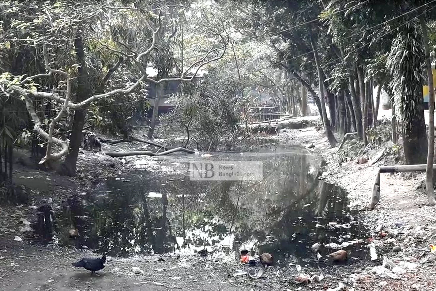 মরা পদ্মার খাল