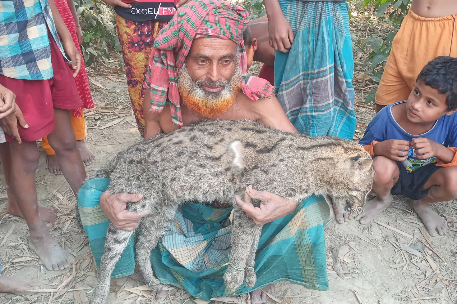 লোকালয়ে-ঢুকে-প্রাণ-গেল-মেছোবাঘের